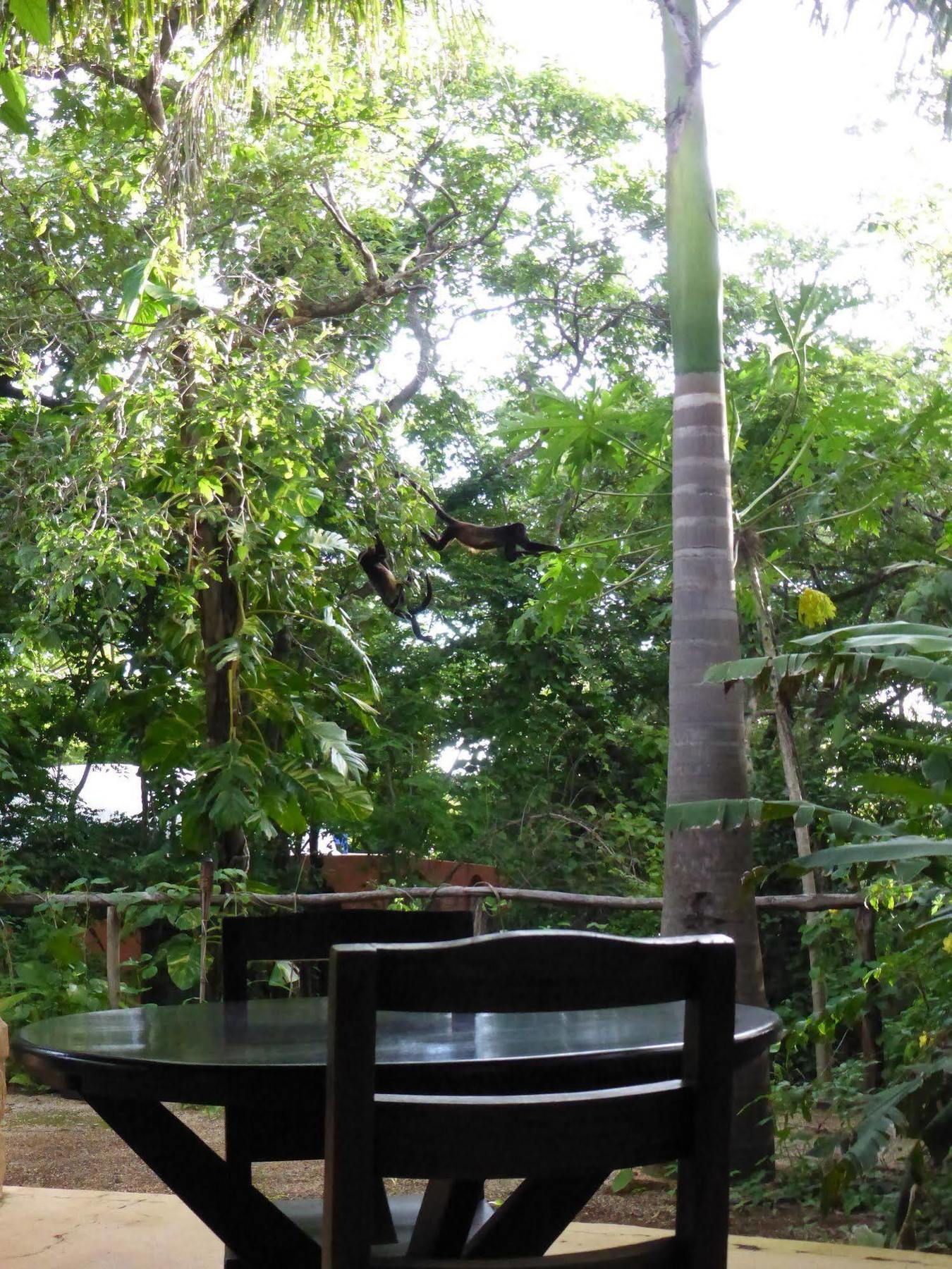 Mundo Milo Eco Lodge Paraiso  Exterior photo